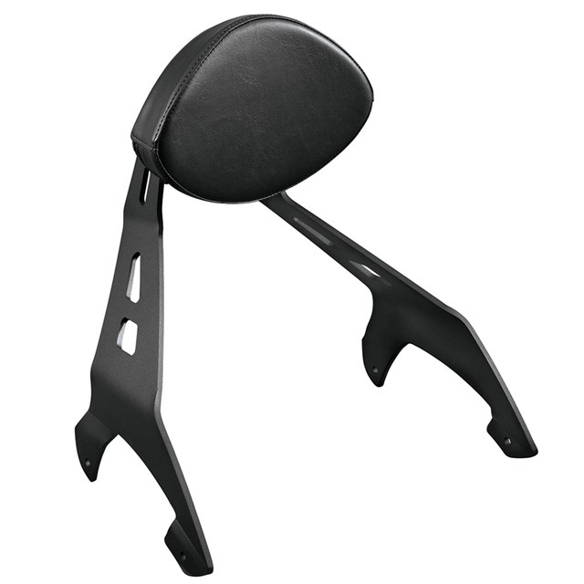 yamaha raider sissy bar quick release