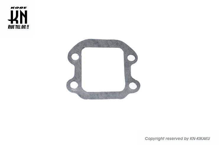 lead gasket