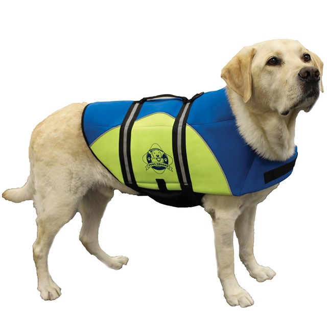 paws aboard neoprene doggy life jacket