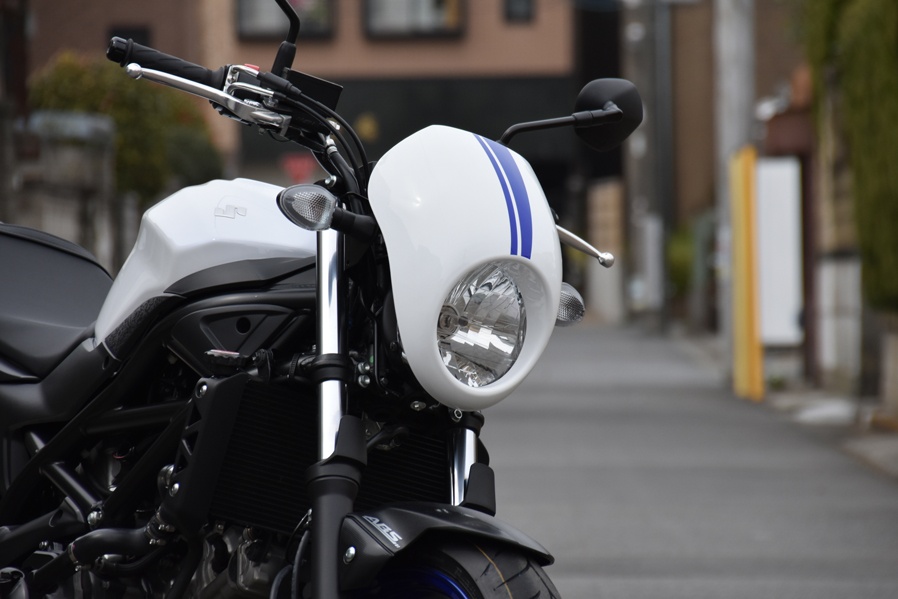 sv650 meter visor