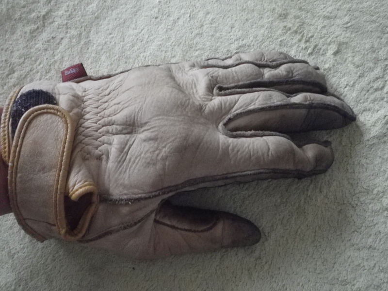 buggy gloves