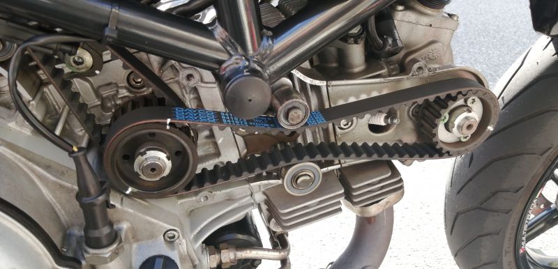 timing belt ducati